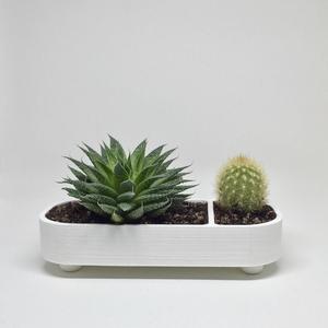 Divided Succulent Planter