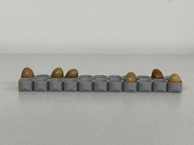 Maticoopx Incubator Parrot or Tiny Button Quail Egg Tray