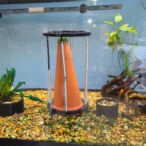 Breeding cone Guard