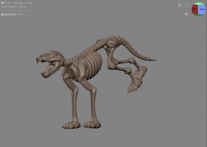 Wolf Skeleton Mini
