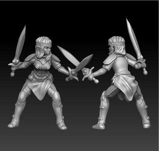 female elf with dual sword