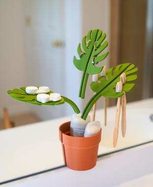 Mirror Monstera