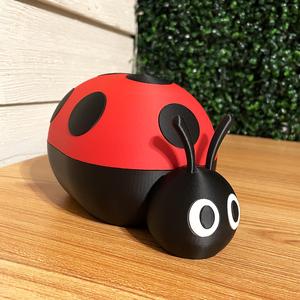 Ladybug Container