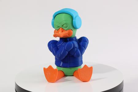 The Grumpy Duckling