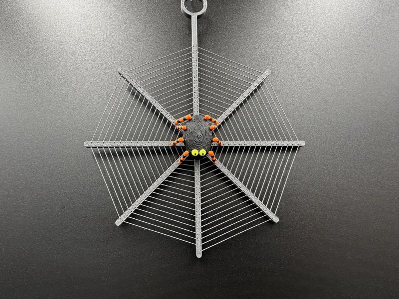 Spider Web Spiral