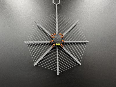 Spider Web Spiral