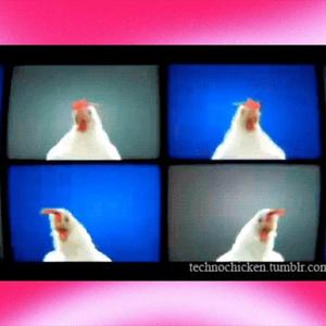 Clucky The Easter Chicken!