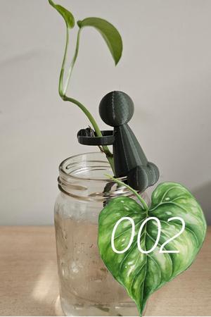 Peaches, your Propagation Assistant (002)