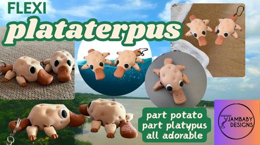 Flexi Plataterpus- part potato, part platypus, all adorable!!