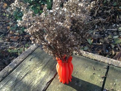 Strange Vase