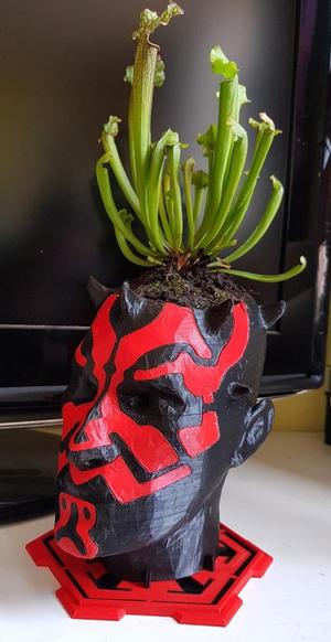 Darth Maul Planter (remix)