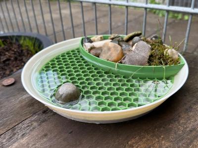 Bird and insect water tray