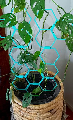 Planter climbing support stake