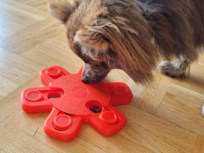 Advanced Pet Treat Puzzle