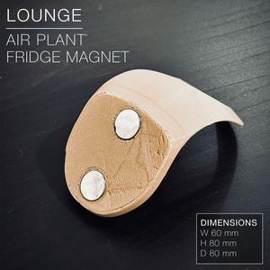 LOUNGE | Air Plant Holder Fridge Magnet