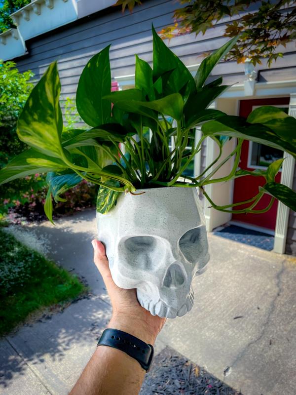 Hanging Skull Planter - NO SUPPORTS!