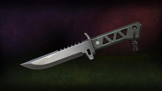VALORANT XENOHUNTER KNIFE