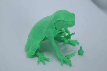 Rough Frog - Boardgame Animal Collection