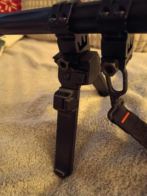 bipod (pl dwójnóg)