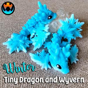 Tiny Winter Dragon & Wyvern
