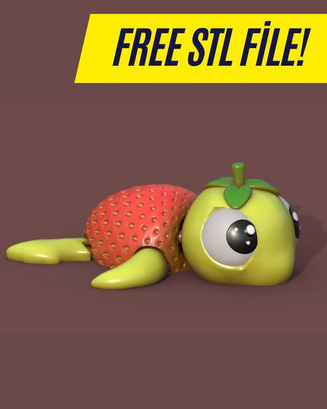 Strawberry Turtle