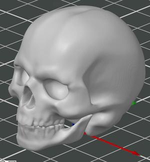 Skull by CandidQuality