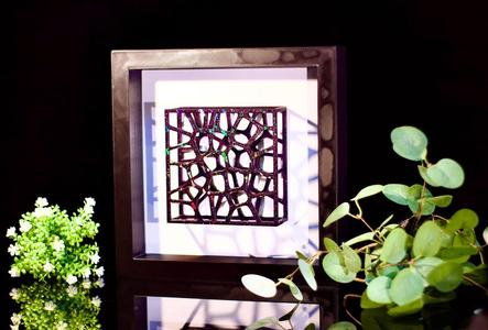 "Entangled Dimensions: 3D printed Wall Art"
