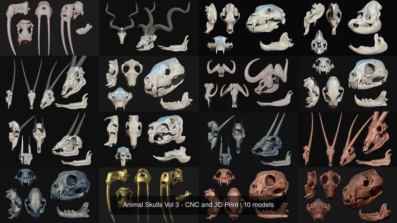 Animal Skulls Vol 3 - CNC and 3D Print 3D Model Collection