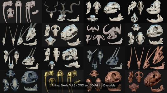 Animal Skulls Vol 3 - CNC and 3D Print 3D Model Collection