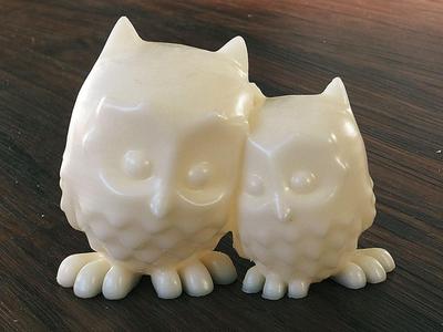 cuddling Owls