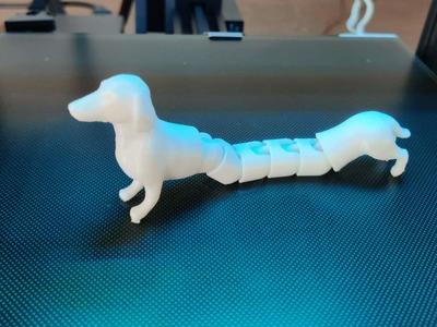 Flexible Dachshund