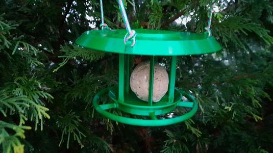 bird feeder - for tallow/suet/fat balls