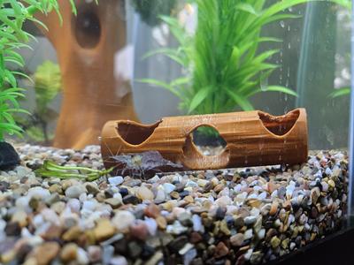 Shrimp Log or Tube