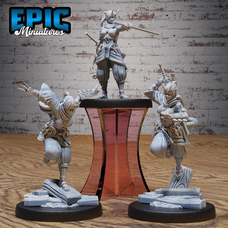 Dark Kunoichi Set / Female Ninja Warrior / Katana Master / Shaolin Fighter / Kung Fu Priest / Iron Fist Encounter