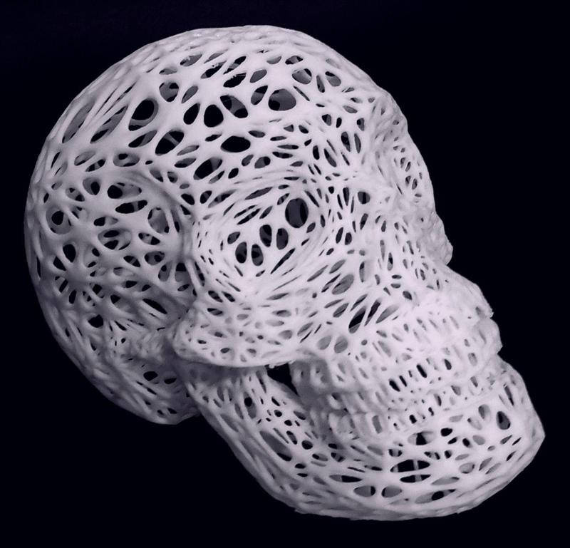 Voronoi Skull