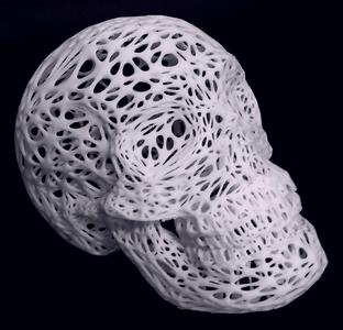 Voronoi Skull