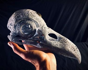 Filigree Anatomical Raven Skull - Pre-supported STL