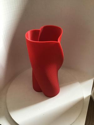 Twisted Heart Vase 
