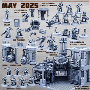 May 2025 Collection