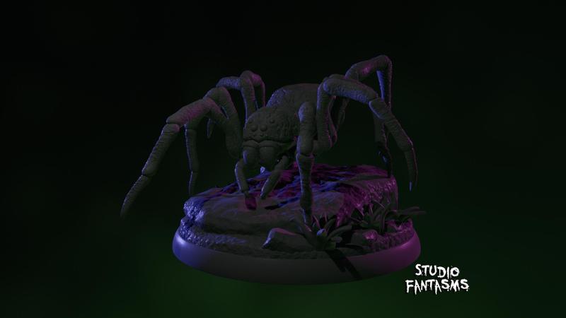 Wolf Spider