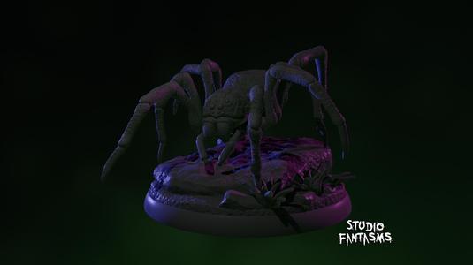 Wolf Spider