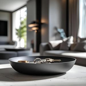 Modern Flat & Fuzzy Key and Cointray
