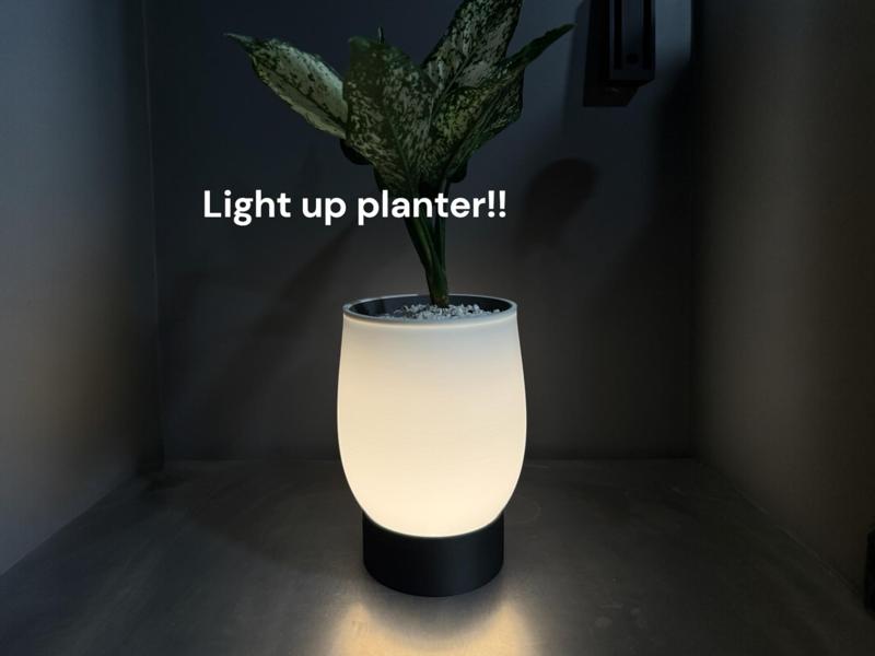 PLAMP.  Illluminated Planter.