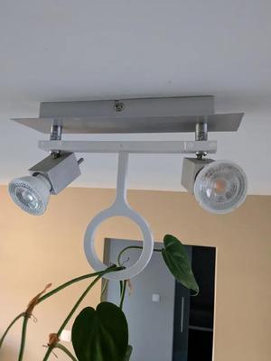 Vine holder   