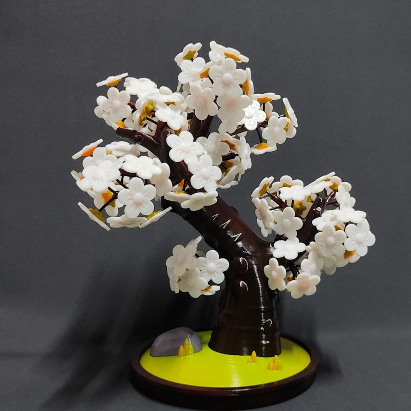 Sakura tree bonsai