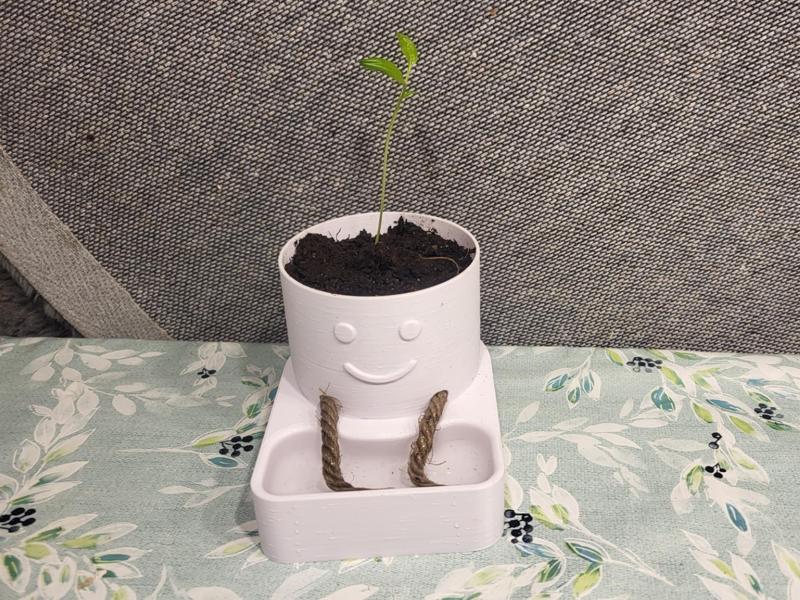 Smiling self-watering pot