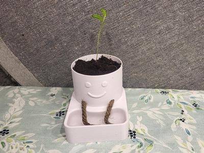 Smiling self-watering pot