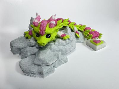 Baby Kokoro Dragon