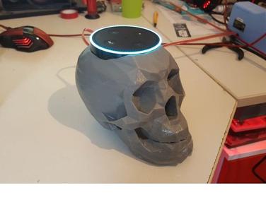 skull echo dot holder alexa