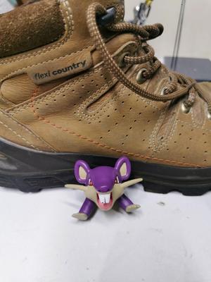 Rattata crushed plague